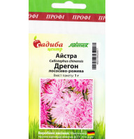 Айстра Дрегон лососево-рожева 1 г Садиба Центр