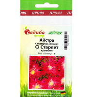 Айстра Сі Старлет кримсон 1 г Садиба Центр