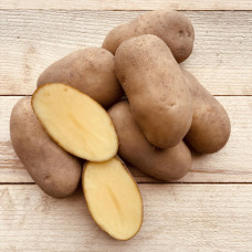 Насіннєва картопля Гранада 1 кг (перша репродукція) Solana