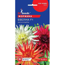 Георгина Евелина 0,25г Gl Seeds