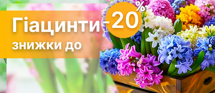 Перейти в каталог >>