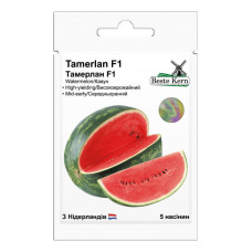 Арбуз Тамерлан 5 шт Beste Kern