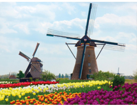 Голландський парк Кекенхоф — місце, де ростуть найкрасивіші тюльпани у світі!