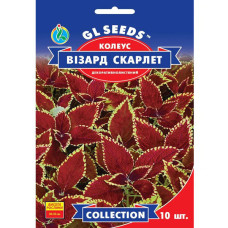 Колеус Візард Скарлет 10 шт Gl Seeds