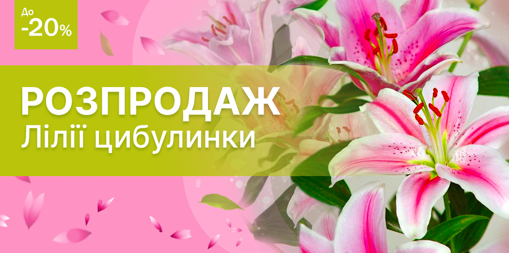 Перейти в каталог >>