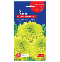 Бархатцы Лунный свет 0,5 г GL Seeds