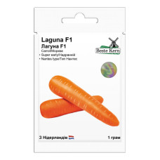 Морква Лагуна F1 1 г Beste Kern