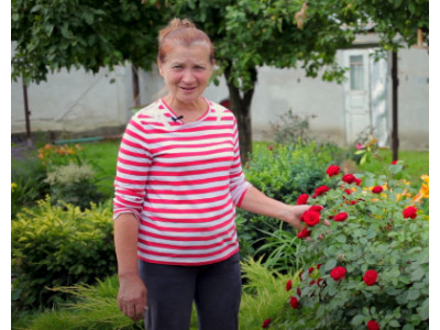 Видео: Болезни роз и их лечение