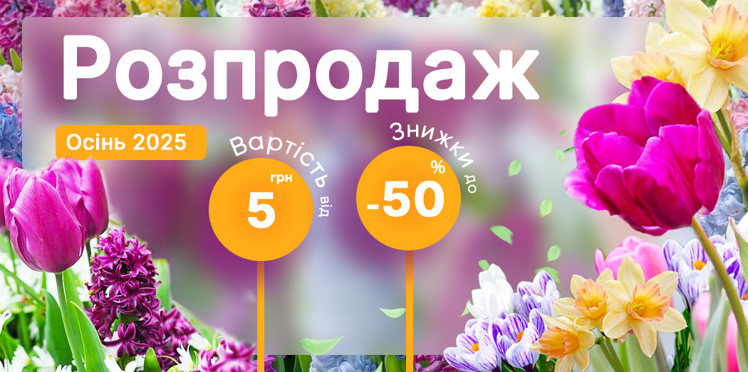 Перейти в каталог >>