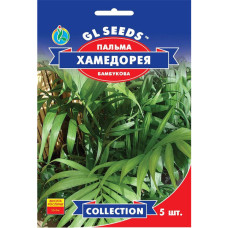 Пальма Хамедорея 5 шт Gl Seeds