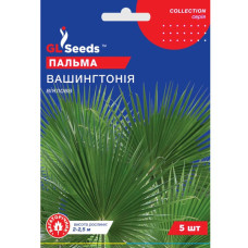 Пальма Вашингтонія 5 шт Gl Seeds