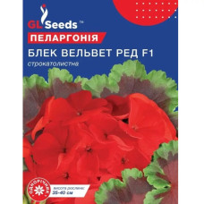 Пеларгонія Блек Вельвет Ред F1 5 шт Gl Seeds