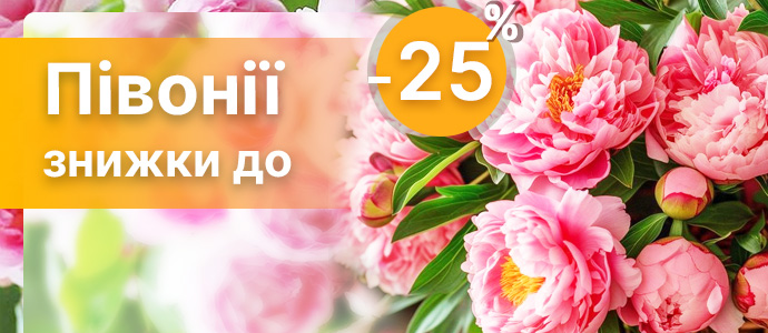 Перейти в каталог >>