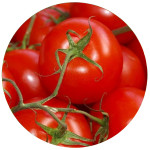Розсада томатів (61)