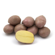 Семенной картофель Коразон 2,5 кг (первая репродукция) Проф.насіння