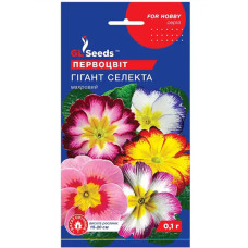 Примула Гігант селекта 0,1г Gl Seeds