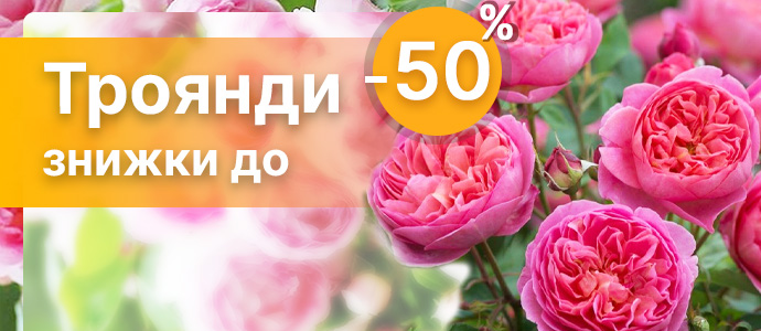 Перейти в каталог >>