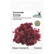 Салат Конкорд F1 30 шт Beste Kern