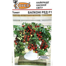Томат Балконі ред F1  0.1г Kouel