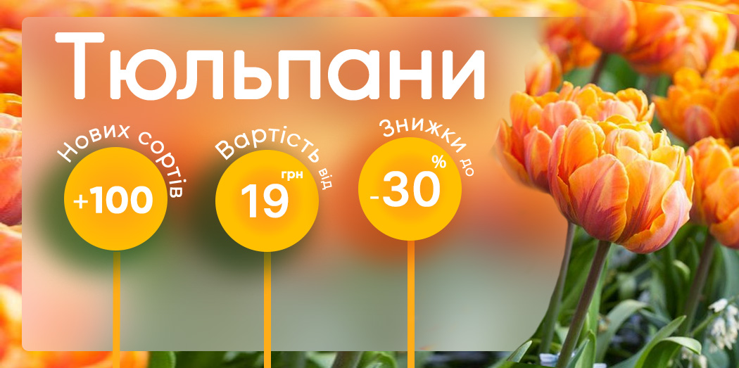 Перейти в каталог >>