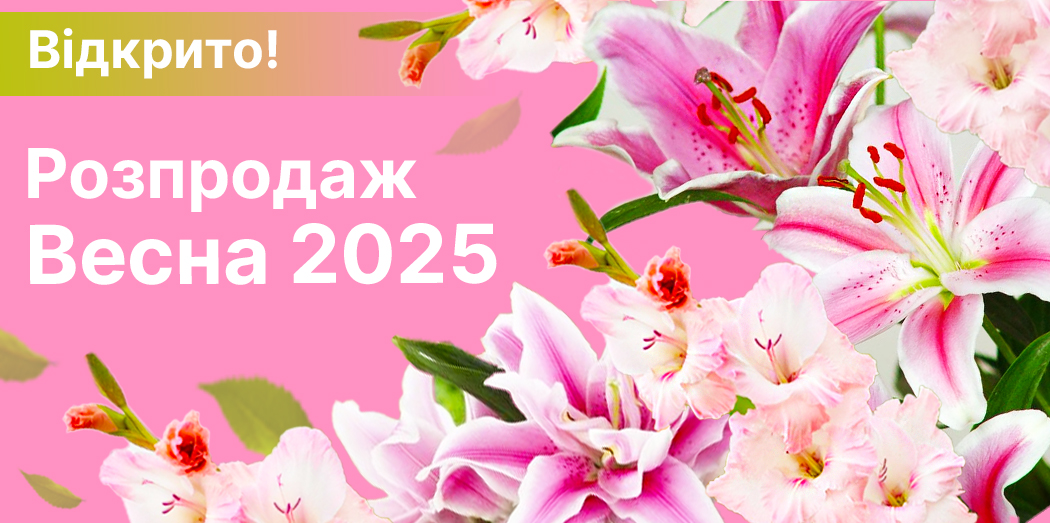 Перейти в каталог >>