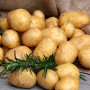 Картопля Карелія (друга репродукція) 1 кг