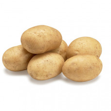 Насіннева картопля Арізона (перша репродукція) 1 кг Проф.насіння