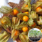 Рассада Физалис овощной 160 шт (кассета)