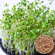 Лен семена микрозелени 50 г