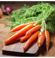 Морковь Осенний король 20 г Фасованное