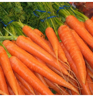 Морковь Витаминная 20 г Фасованное