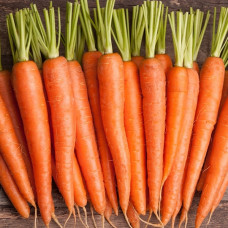 Морковь Красный гигант 20 г Фасованное