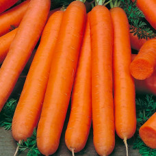 Морковь Флакке 20 г Фасованное
