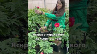 Огляд товару