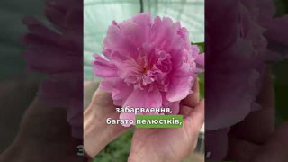 Огляд товару