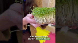 Відео інструкція по вирощуванню