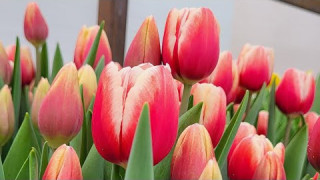 Огляд товару