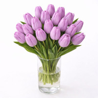 Тюльпан зріз Alibi 25 шт (букет)