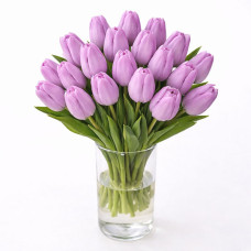 Тюльпан зріз Alibi 25 шт (букет)