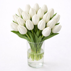 Тюльпан зріз Antarctica 25 шт (букет)