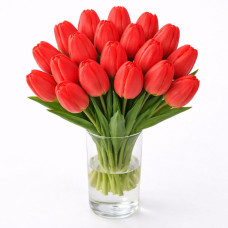 Тюльпан зріз Apeldoorn 25 шт (букет)