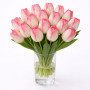 Тюльпан зріз Beautytrend 25 шт (букет)