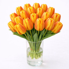 Тюльпан зріз Blushing Apeldoorn 25 шт (букет)