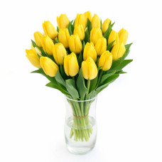 Тюльпан зріз Bright Sun 25 шт (букет)