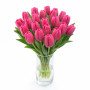 Тюльпан зріз Carola 25 шт (букет)
