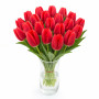 Тюльпан зріз Delta Red 25 шт (букет)