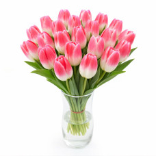 Тюльпан зріз Delta Chic 25 шт (букет)