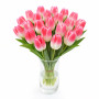Тюльпан зріз Delta Chic 25 шт (букет)