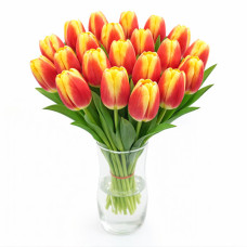 Тюльпан зріз Disco 25 шт (букет)