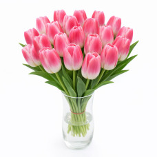 Тюльпан зріз Dynasty 25 шт (букет)